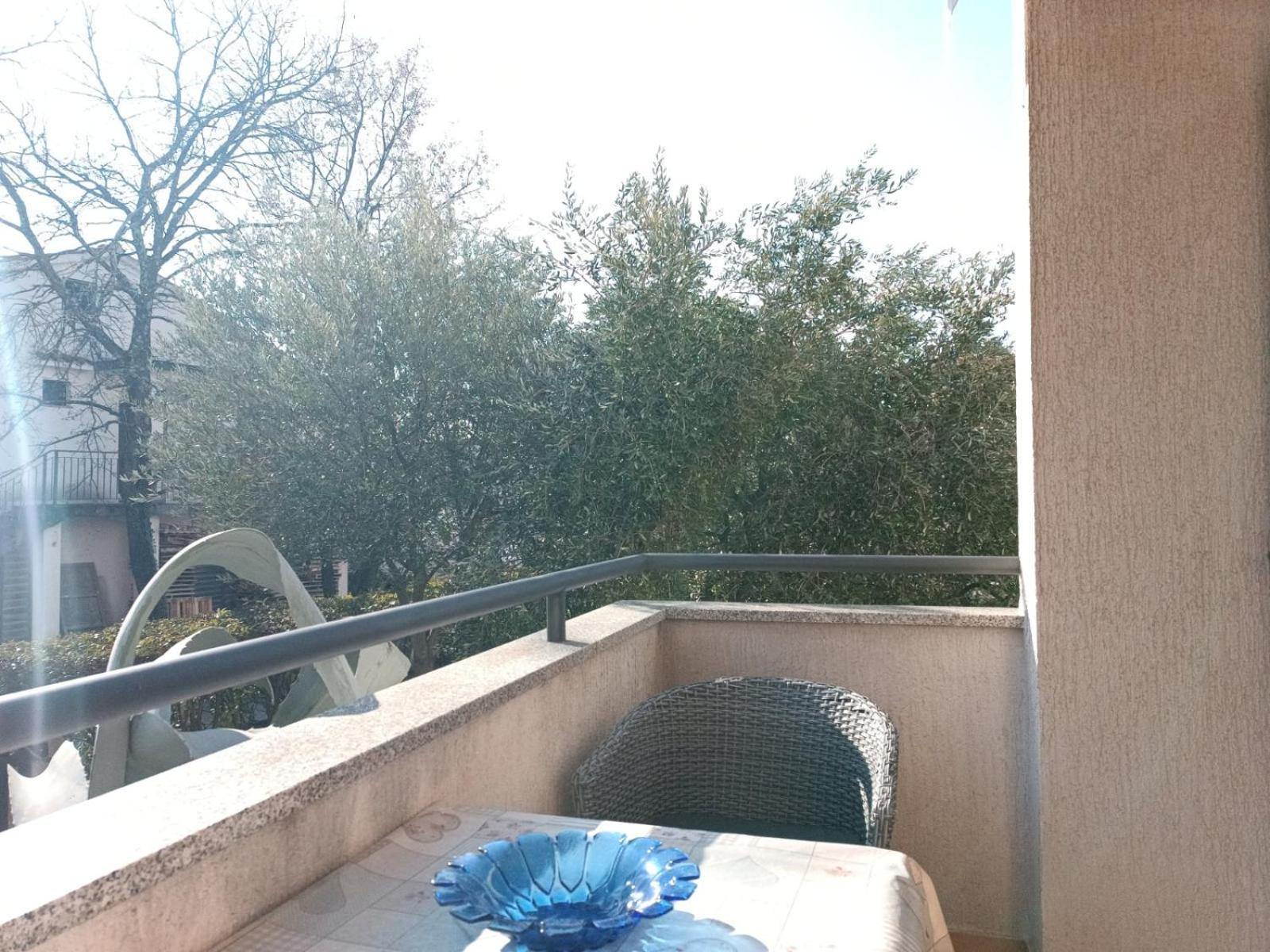 Apartments Jelovac פורץ מראה חיצוני תמונה